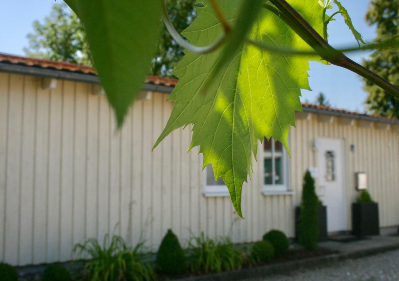 Gaestehaus Gaumenflug Am See Günzburg Exteriör bild